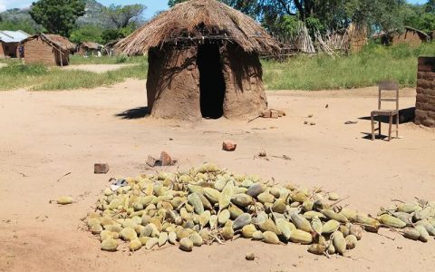 從“等死”到“銀鈴般的笑聲”：萊索托愛滋孤兒小旺的重生之路??